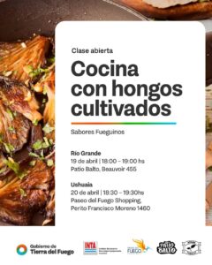 Cocina con hongos: una invitación a descubrir el mundo fungi y su valor en la producción local