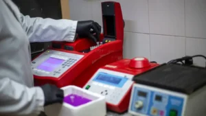 El Gobierno enviará expertos a Ushuaia tras los casos de hantavirus detectados en el crucero MV Hondius