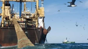 Milla 201: el límite invisible donde la pesca se convierte en depredación ambiental