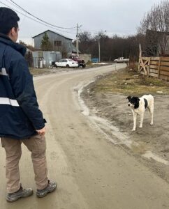 La municipalidad labró 21 actas por infracciones a la normativa sobre tenencia responsable y capturó dos canes en andorra