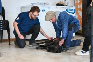 Jornada de Bienestar Animal concretó vacunaciones, desparasitaciones y castraciones en el CIC