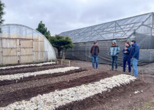 La chacra municipal agroexperimental se potencia junto a Río Grande activa